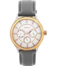 Correa de reloj Fossil BQ3123 Cuero Gris 18mm